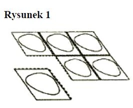 Schematic black drawing depicting five rectangular plates arranged in two groups, each containing an oval shape inside