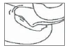 Dibujo anatómico esquemático que muestra un corte transversal de la articulación de la rodilla con huesos, cartílago y ligamentos visibles dentro de la articulación