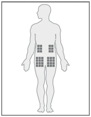 Silhouette of the human body with four square areas marked on the abdomen and lower back, indicating sites for drug administration