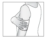 Disegno che raffigura una mano che tiene e stabilizza un ginocchio di una gamba flessa in profilo su sfondo chiaro