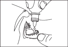 Disegno lineare che rappresenta una goccia di farmaco che cade da un erogatore direttamente nell'occhio aperto, tenuto fermo dalle dita