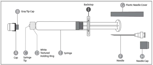 A diagram of syringe components labeled with letters, including cap, gray stopper, tip, ring, barrel, plunger, needle, and needle shield