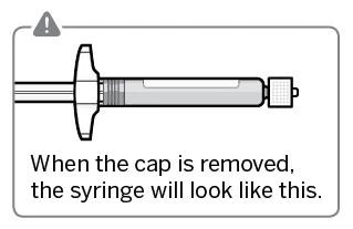Schematic graphic of a syringe without the cap, showing the plunger, barrel, and tip with visible seal