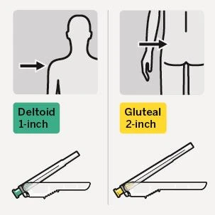 Schematic illustration of medication administration: arrows point to the deltoid muscle with a 1-inch needle and the gluteal muscle with a 2-inch needle, shown with silhouettes and syringes