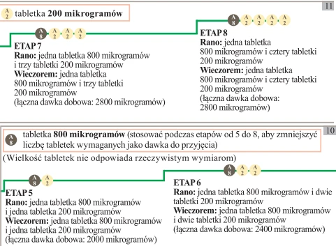 Schemat dawkowania leku podzielony na etapy z podziałem na rano i wieczór, zawierający informacje o liczbie i mikrogramach tabletek