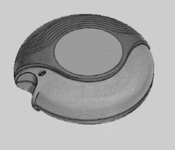 A round, three-dimensional object with a smooth shape, featuring a distinct darker depression in the central part and a textured light-colored side surface