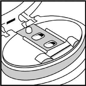 Schematic drawing of an open package with an insert containing two elongated openings for ampoules placed inside a circular container
