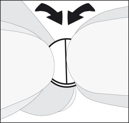 Schematic drawing of two bright, oval shapes facing each other, connected by a vertical line and indicated by two black arrows
