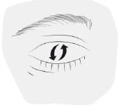 Dibujo de un ojo humano con dos flechas negras apuntando en direcciones opuestas, simbolizando el movimiento del globo ocular hacia arriba y hacia abajo