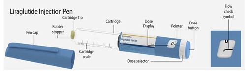 Schematic of the liraglutide injector showing labeled parts: cap, rubber stopper, cartridge scale, dose display, indicator, and dosing button