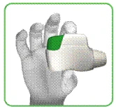 Hand holding a white vial with green cap, fingers wrapped around the body of the vial, white background with green border