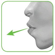 Profile view of a human head with an arrow pointing to the mouth, illustrating direction of medication delivery or inhalation