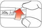 Una mano preme il pulsante della penna siringa Lilly, iniettando il farmaco nel tessuto cutaneo, con freccia rossa che indica il verso della pressione
