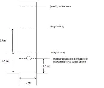 Solvent preparation diagram: cut the upper part at a distance of 2.5 cm, the lower part at 1.5 cm, base width 2 cm, sample drops are used to confirm positioning